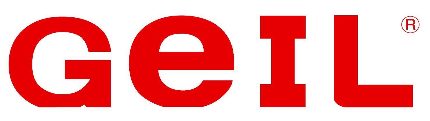 Geil