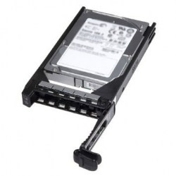 Opcije za servere: Dell 300GB 400-19339