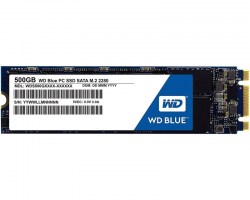 M.2 SSD: WD 500GB SSD S500G1B0B Blue
