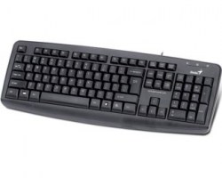 Tastature: Genius KB-110X PS/2 US