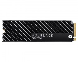 M.2 SSD: WD 1TB SSD S100T3XHC Black
